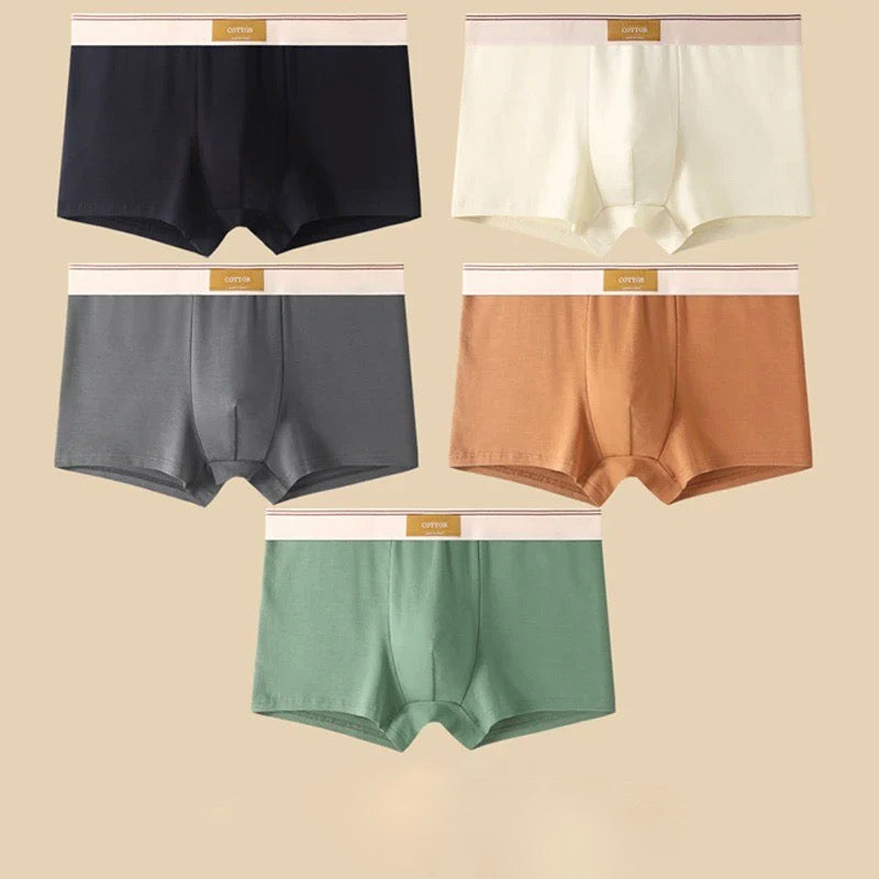 Boxers Cotton