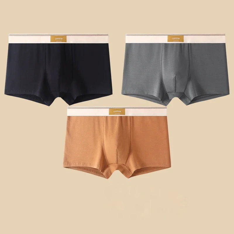 Boxers Cotton