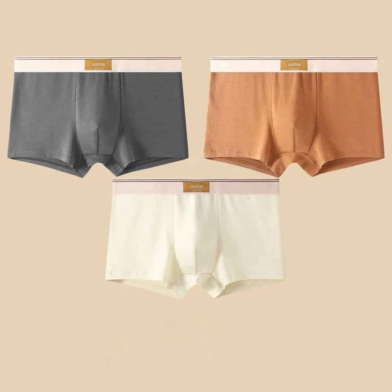 Boxers Cotton