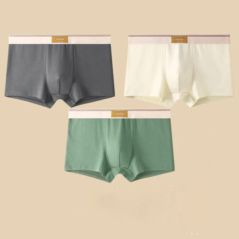 Boxers Cotton