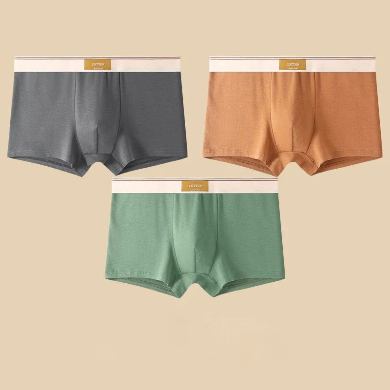 Boxers Cotton