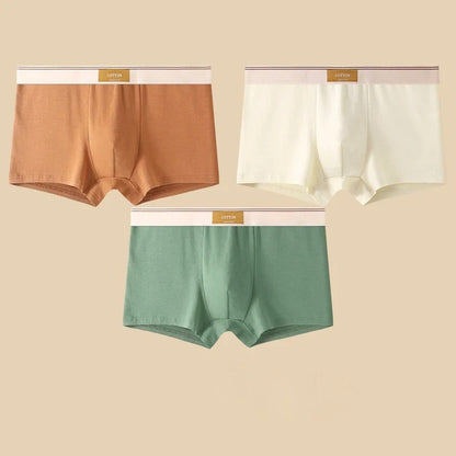 Boxers Cotton