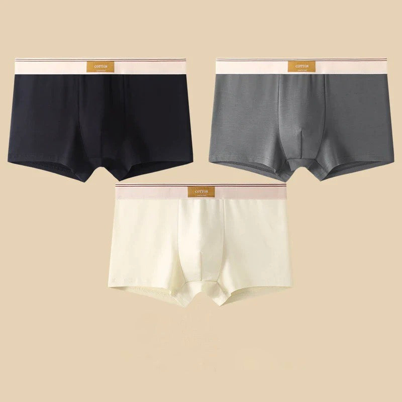 Boxers Cotton